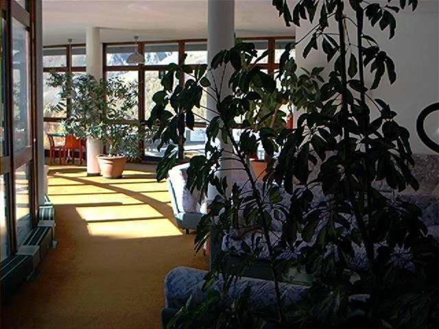 Le Petit Refuge Cervinia Apartment Breuil-Cervinia Ngoại thất bức ảnh