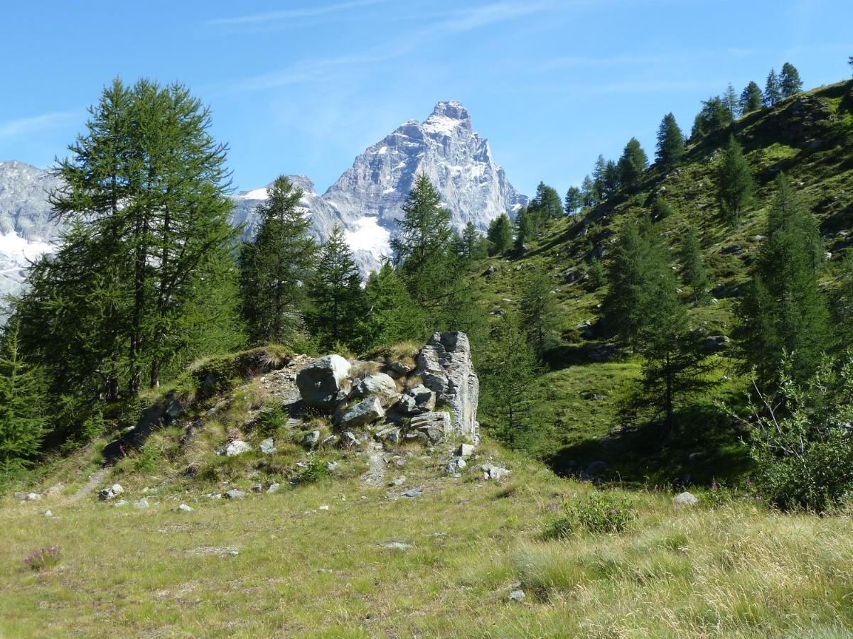 Le Petit Refuge Cervinia Apartment Breuil-Cervinia Ngoại thất bức ảnh