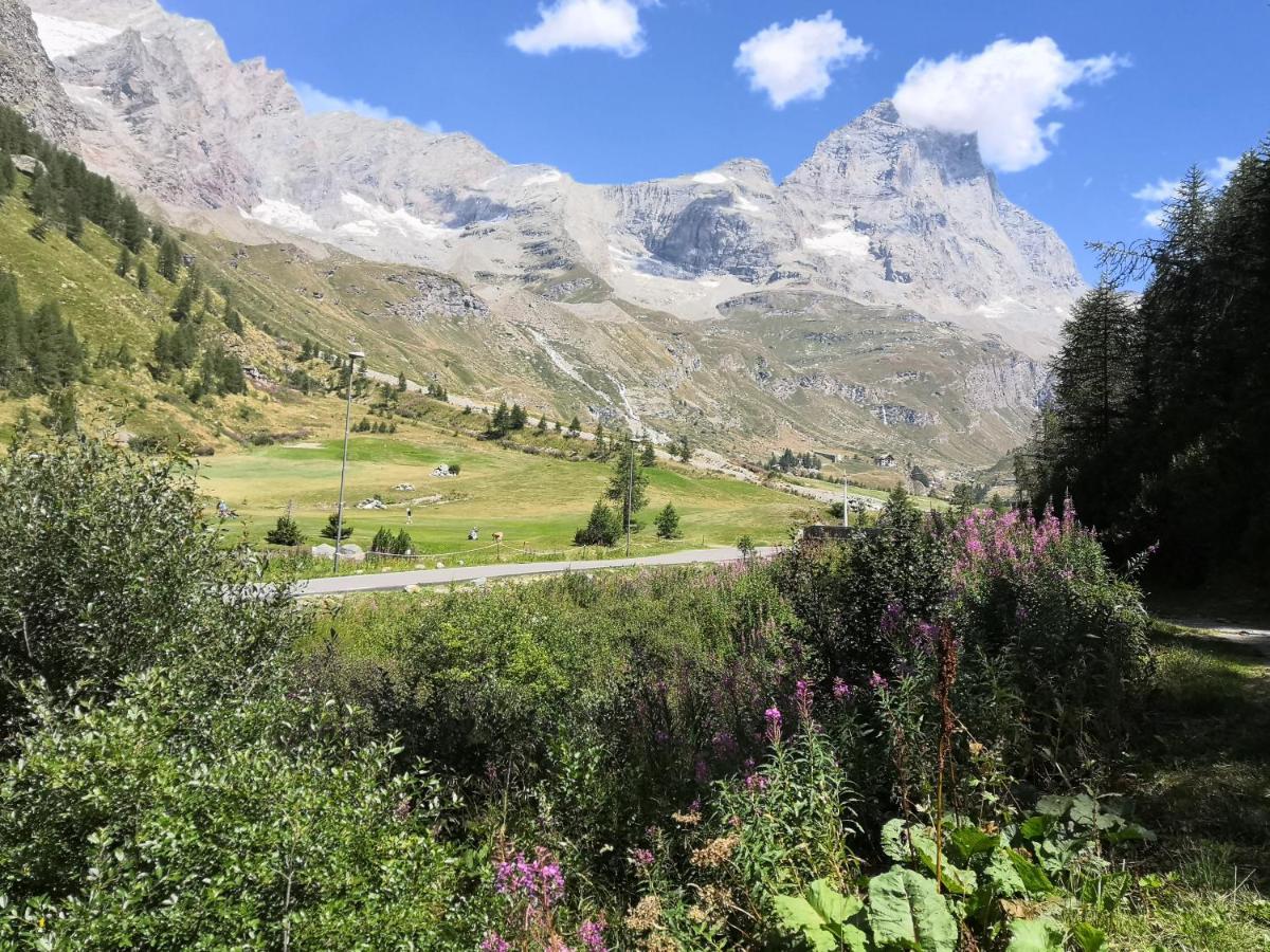 Le Petit Refuge Cervinia Apartment Breuil-Cervinia Ngoại thất bức ảnh