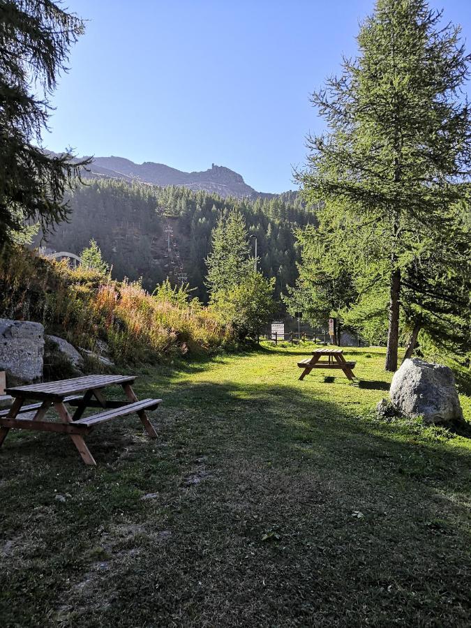 Le Petit Refuge Cervinia Apartment Breuil-Cervinia Ngoại thất bức ảnh