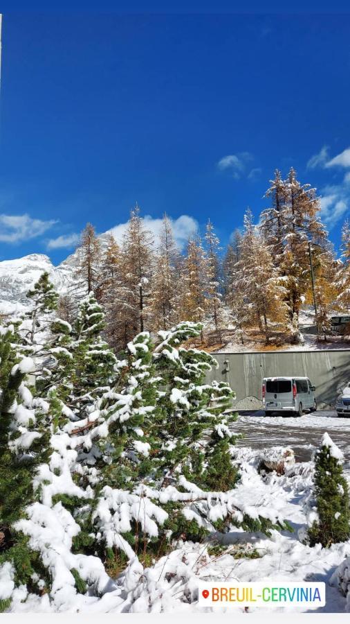 Le Petit Refuge Cervinia Apartment Breuil-Cervinia Ngoại thất bức ảnh